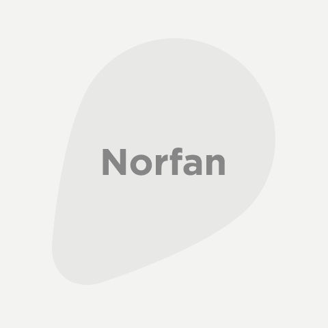 Norfan