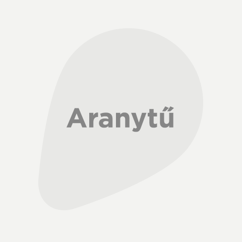 Aranytű