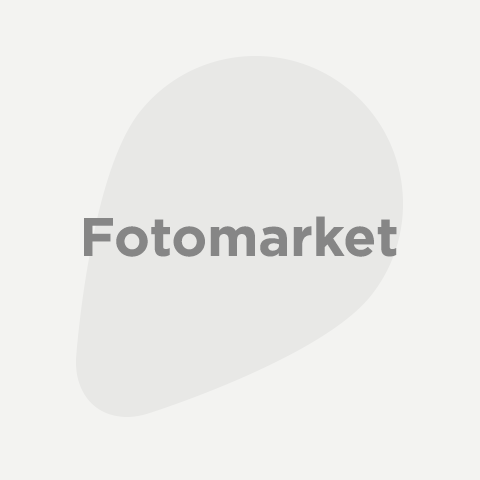 Fotomarket