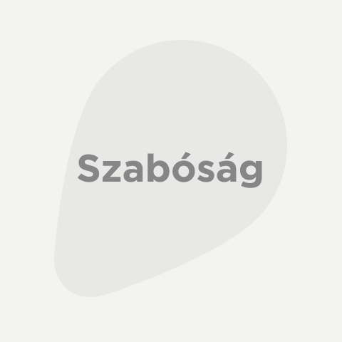 Szabóság